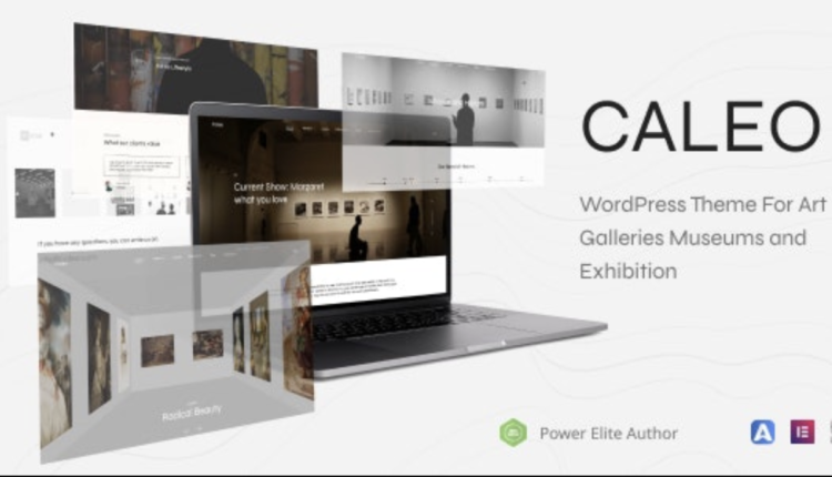 Caleo – Art Gallery WordPress Theme