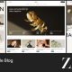 Zaan – Personal Lifestyle Blog and Magazine