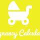 Pregnancy Calculators for WordPress.