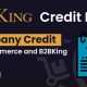 B2BKing Company Credit – WooCommerce Line of Credit System (Add-on)