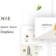 Organie – A Delightful Organic Store eCommerce Prestashop Theme V1.6 V1.7