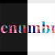 Penumbra – Multi-Concept Design Portfolio Theme