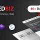 RedBiz – Finance Consulting Multi-Purpose WordPress Theme