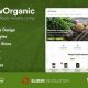RawOrganic – Healthy Food Store