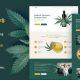 Calmes – Medical Marijuana & Coffeeshop WordPress Theme
