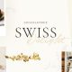 Swiss Delight – Chocolate Cake Shop Theme