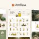Amfissa – Organic Olive Shop Theme