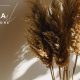 Askka – Candle Shop WordPress Theme