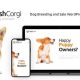 Welsh Corgi | Dog Breeding and Sale WordPress Theme