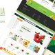 Akola – Organic Food Store WordPress Theme