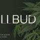 ChillBud – Medical Marijuana and Cannabis Theme