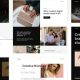 Themebau – Minimal Portfolio Agency WordPress Theme