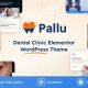 Pallu – Dental Clinic, Medical WordPress Theme