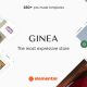 Ginea — Modern WooCommerce Theme