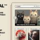 Yamal – Blog Magazine WordPress Theme