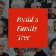 Lineago – Genealogy WordPress Theme