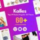 Kalles – Angular 19 eCommerce Template