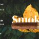 Smokio – Tobacco Store Hookah Bar WordPress Theme