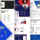Ippsum – Business Consulting WordPress Theme