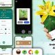 Bloomify – Plant Identifier, Plant App – Plant Identifier, Plant Identification, Plant Care