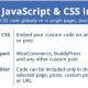 Custom JavaScript & CSS in Pages!