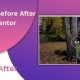 Before After Image Slider Elementor Addon