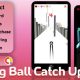 Rolling Ball Catch Up