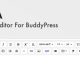 Miresa – WordPress Rich Text Editor For BuddyPress
