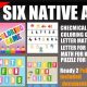 Six native app bundle