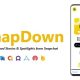 SnapDown – Snapchat Stories & Spotlights Downloader | ADMOB, FAN, APPLOVIN, FIREBASE, ONESIGNAL