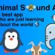 Animal Sound