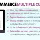 WooCommerce Multiple Currencies