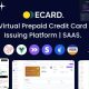 E-Card – Virtual Prepaid Credit Card Issuing Platform | Stripe Powered (SAAS)