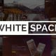 WhiteSpace – Portfolio Agency Website Template