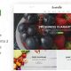 Ecofood – Responsive Organic Store Magento 2 Theme