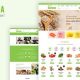 Groca – Grocery Shopify Theme