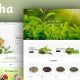 Moocha – Tea Shop & Organic Store Responsive Shopify Theme