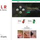 Kilr – Pest Control Shopify Theme