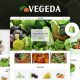 Vegeda – Vegetables And Organic Food eCommerce Shopify Theme