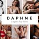 Daphne – Lingerie Shop WordPress Theme