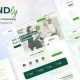 Mindly – Psychology, Therapy & Counseling Elementor Template Kit