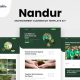 Nandur – Enviromental Elementor Template Kit