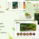 Namm – Grocery Shop WordPress Theme