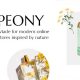 Peony – Organic Tea and Herbal Shop