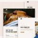 PetHub | Dog, Cat Care & Veterinary Joomla 5 Template