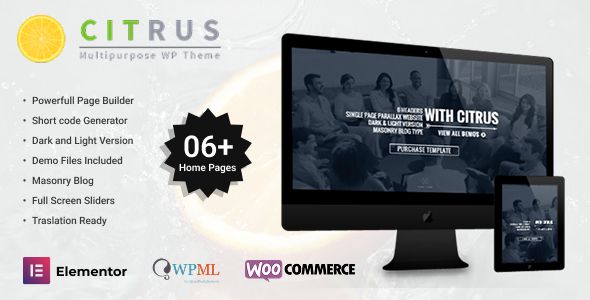 Citrus - One Page WordPress 2 Citrus - One Page WordPress