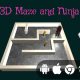 3D Maze Ninja – Cross Platform Educational Game