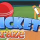 Cricket Craze