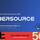 Active eCommerce Cybersource Add-on
