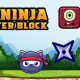 Cat Ninja vs Monster Block